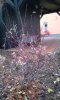 IMAG0140.jpg