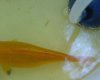 DSC01948.JPG