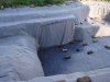DSC01937.JPGWE.JPG