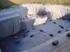 DSC01938.JPGWE.JPG