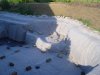 DSC01942.JPGWE.JPG