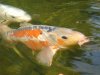 Dsc03393.jpg