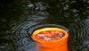 Bild3 028.jpg