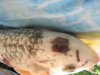 koi3.JPG