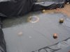 DSC01978.JPGregen.JPG