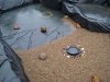 DSC01979.JPGregen.JPG
