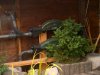 CAM_0655.JPG