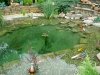 teich 065.JPG