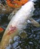 image004.jpg