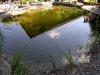 DSCN7140.JPG