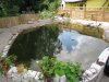 IMG_0072.JPG