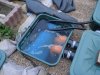 DSC02180.JPGgestern2.JPG