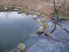 DSC02188.JPGgestern8.JPG