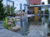 DSC02191.JPGgestern11.JPG