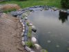 DSC02198.JPGgestern16.JPG