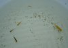 Dsc04123.jpg