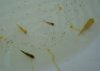Dsc04120.jpg