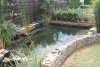teich1234 029.jpg