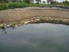 DSC02203fertig4.JPG