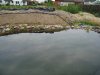 DSC02204fertig5.JPG
