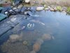 DSC02270endlichfrei5.JPG