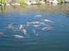 DSC02303.JPGFutter3.JPG