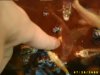 Fischbabys 019.jpg