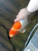 DSC01069.JPG