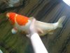 DSC01067.JPG