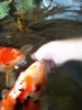 DSC01062.JPG