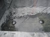 Teichprojekt 2 (27).jpg