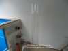 DSCN1429.jpg