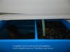 DSCN1524.jpg