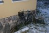 DSC01553.jpg