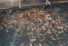 DSC01588.jpg