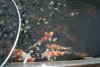 DSC01629.jpg