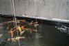 DSC01663.jpg