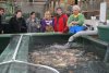 DSC01660.jpg