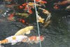 DSC01664.jpg