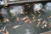 DSC01686.jpg
