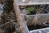 DSC01690.jpg