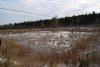 DSC01697.jpg