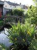 Unser teich (1).jpg