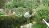 alter teich1.jpg