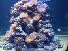DSC02055.JPG