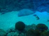 DSC02059.JPG