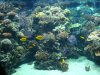 DSC02043.JPG