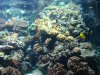 DSC02045.JPG