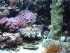 DSC02052.JPG