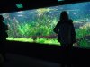 DSC02042.JPG